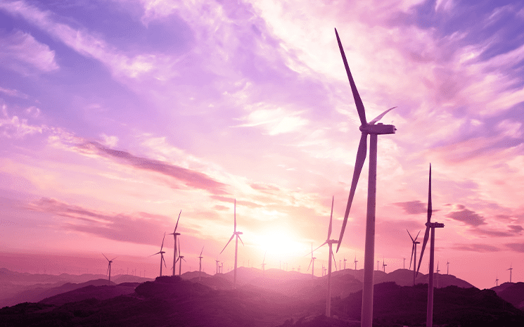 Imagem de um campo de turbinas eólicas, uma das formas de energia que visa a sustentabilidade