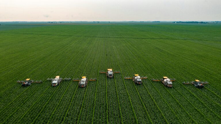 Inteligência Artificial no Agronegócio: aplicações e impacto